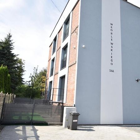 Katowice Chorzow Park Stadion Slaski Apartmenty Siemianowice Śląskie Екстериор снимка